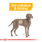 Canine Care Nutrition Maxi Dermacomfort 10 KG