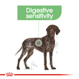 Canine Care Nutrition Maxi Digestive Care 10 KG