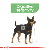 عناية وتغذية الكلاب - العناية بالجهاز الهظمي ميني 3 كلغ