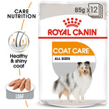 Canine Care Nutrition Coat Beauty Wet Food Pouches