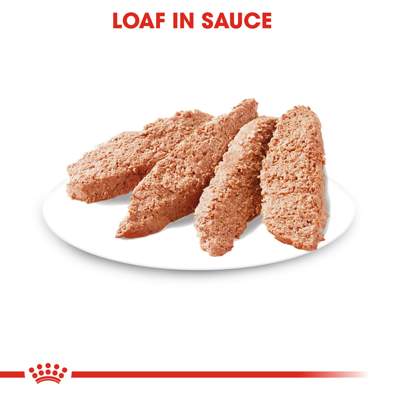 Canine Care Nutrition Digestive Care Wet Food Pouches