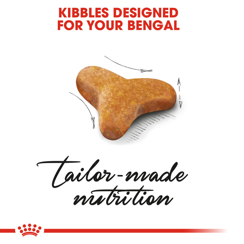 تغذية سلالة قطط البنغال للكبار 2 كلغ