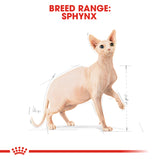 Feline Breed Nutrition Sphynx 2 KG