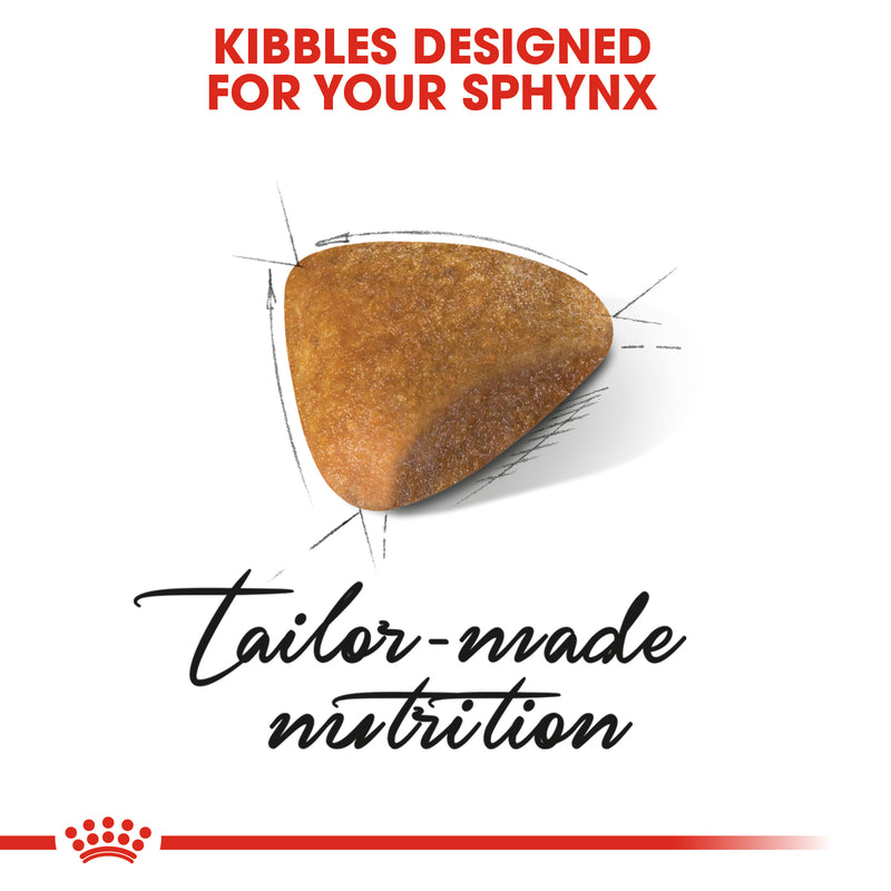 تغذية سلالة القطط الفرعونية 2 كلغ