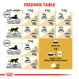 تغذية سلالة القطط الفرعونية 2 كلغ