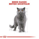Royal Canin British Shorthair Adult in Gravy Wet Food Pouches