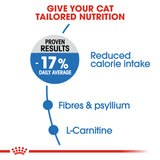 عناية وتغذية القطط خفيفة الوزن 1.5 كلغ