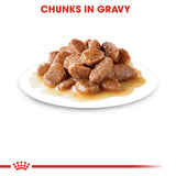 Royal Canin Digest Sensitive in Gravy Wet Food Pouches