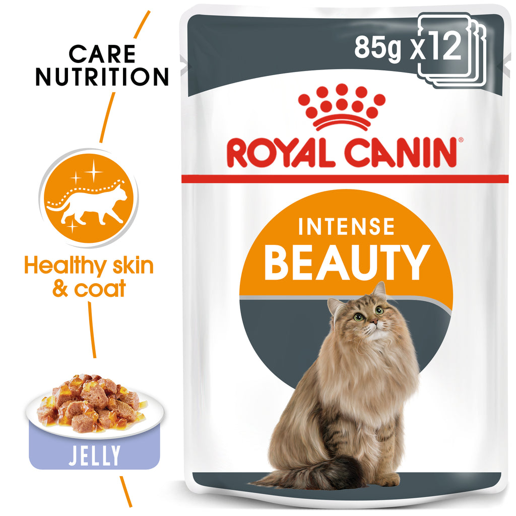 Royal Canin Intense Beauty in Jelly Wet Food Pouches