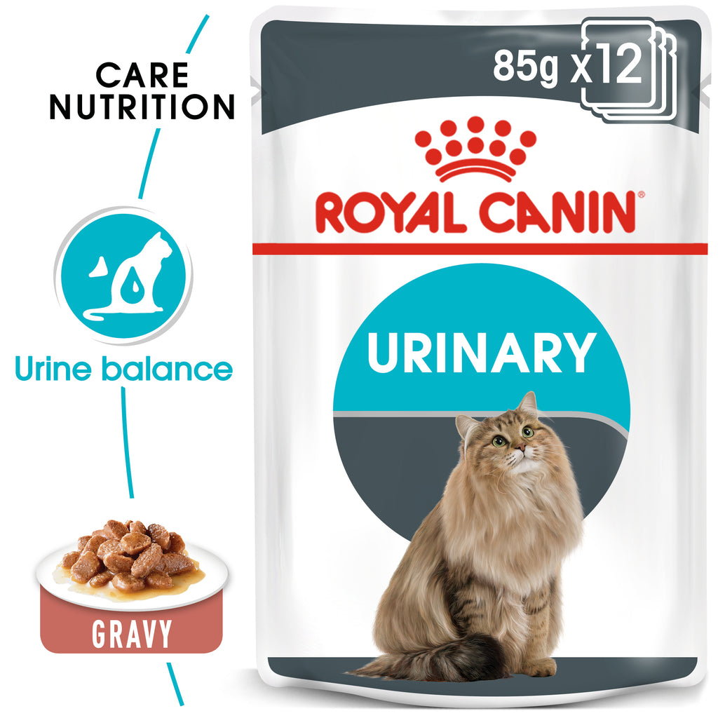 عناية وتغذية القطط - العناية البولية (الأطعمة الرطبة)