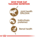 Royal Canin Ageing 12+ Years in Gravy Wet Food Pouches