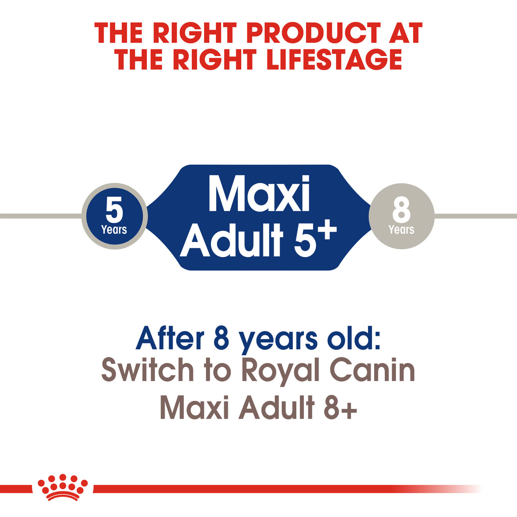 Size Health Nutrition Maxi Adult 5+ 15 KG