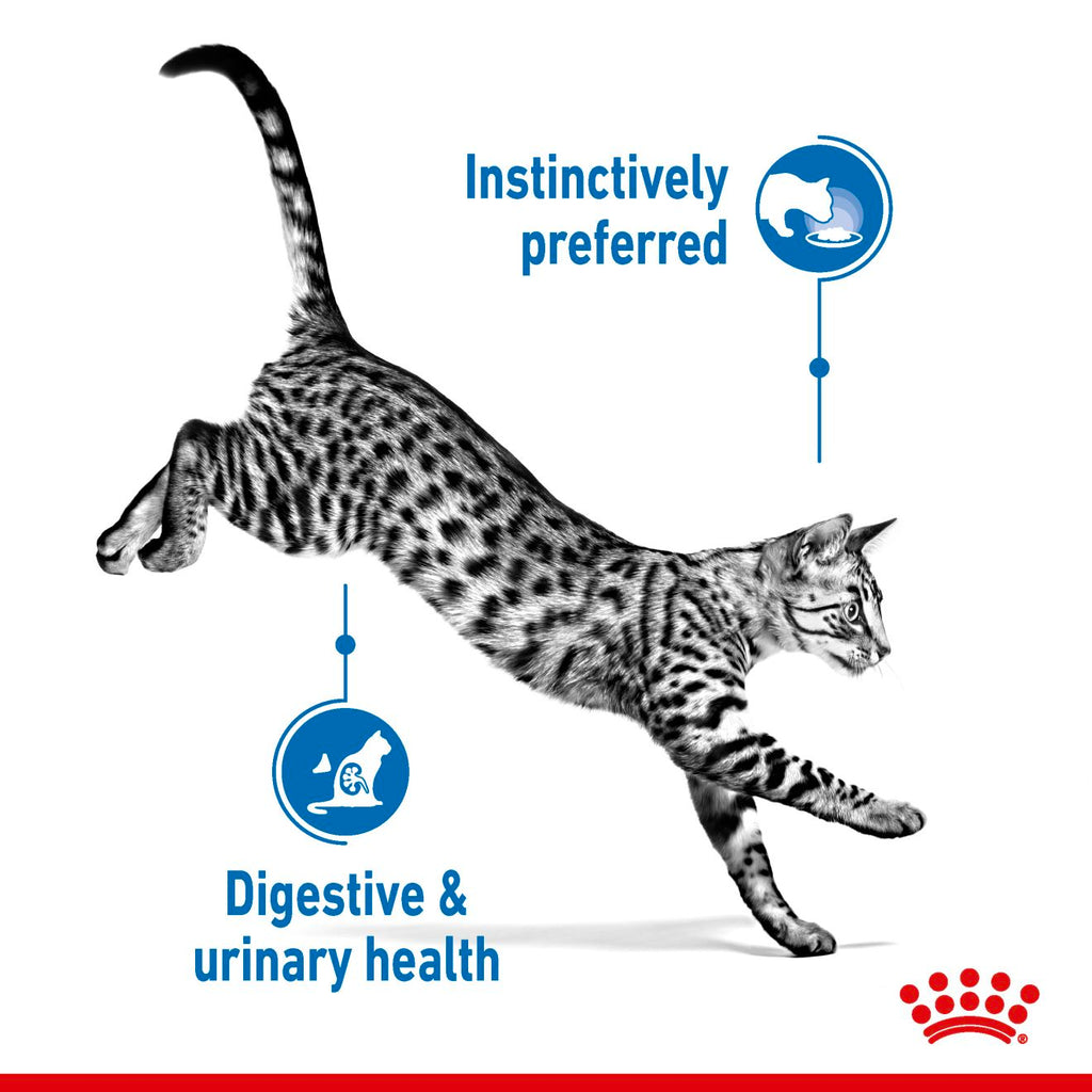 Feline Health Nutrition Indoor Jelly Wet Food Pouches