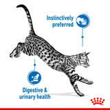 Feline Health Nutrition Indoor Jelly Wet Food Pouches