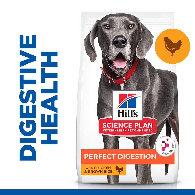 Hill’s Science Plan Perfect Digestion Large Breed Adult 1+ Dog Food With Chicken And Brown Rice 14kg