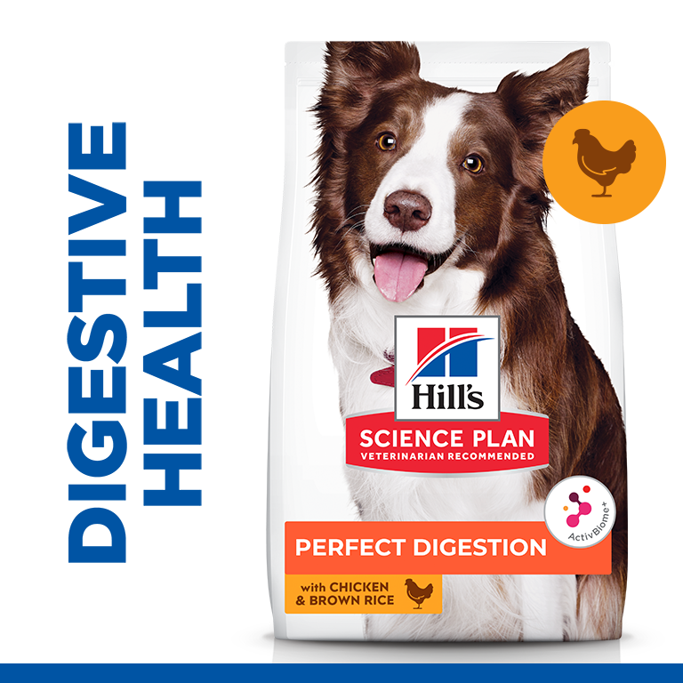 hills science plan medium dog