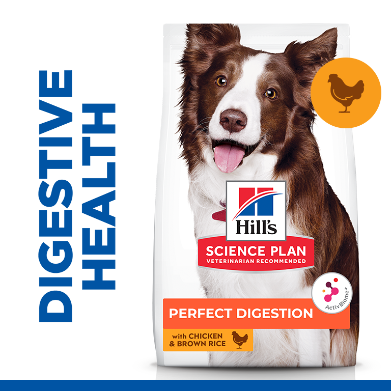 Hill’s Science Plan Perfect Digestion Medium Adult 1+ Dog Food With Chicken And Brown Rice