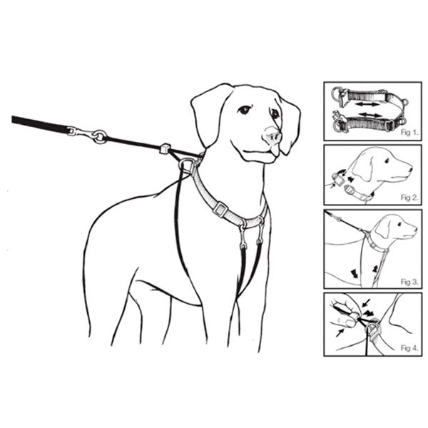 Walkrite Anit-Pull Harness - M