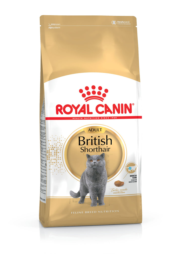 Royal Canin British Shorthair Adult 4kg