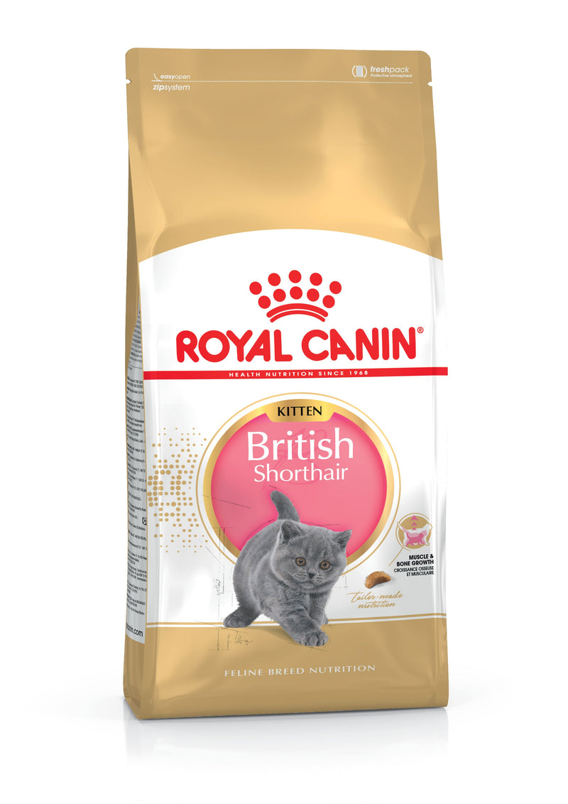 Royal Canin British Shorthair Kitten 2kg