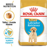 Breed Health Nutrition Labrador Puppy